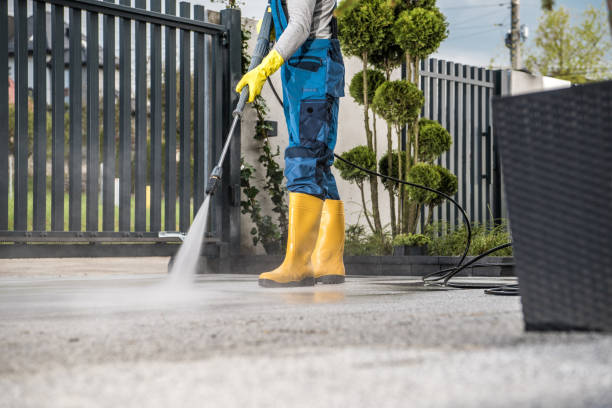 Roof Power Washing Services in Shingletown, CA